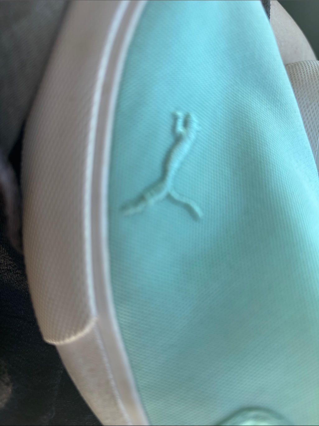 Puma Aqua Canvas Slip-On With Pink Logo